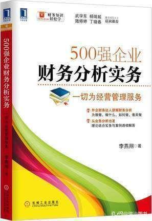 外企財(cái)務(wù)達(dá)人詳解財(cái)務(wù)分析 從業(yè)務(wù)出發(fā)，理論實(shí)務(wù)結(jié)合助力500強(qiáng)企業(yè)管理